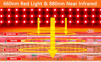  Infrared & Red Light Therapy 