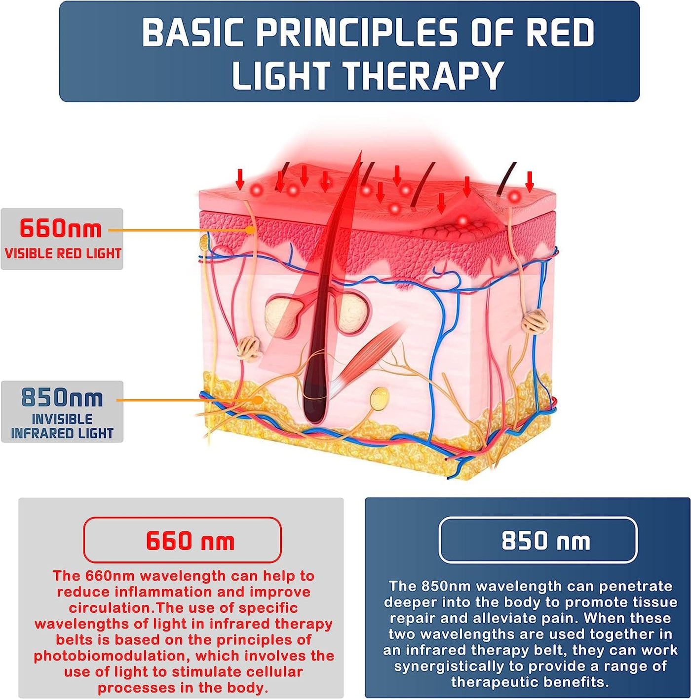 basic principles of red light therapy