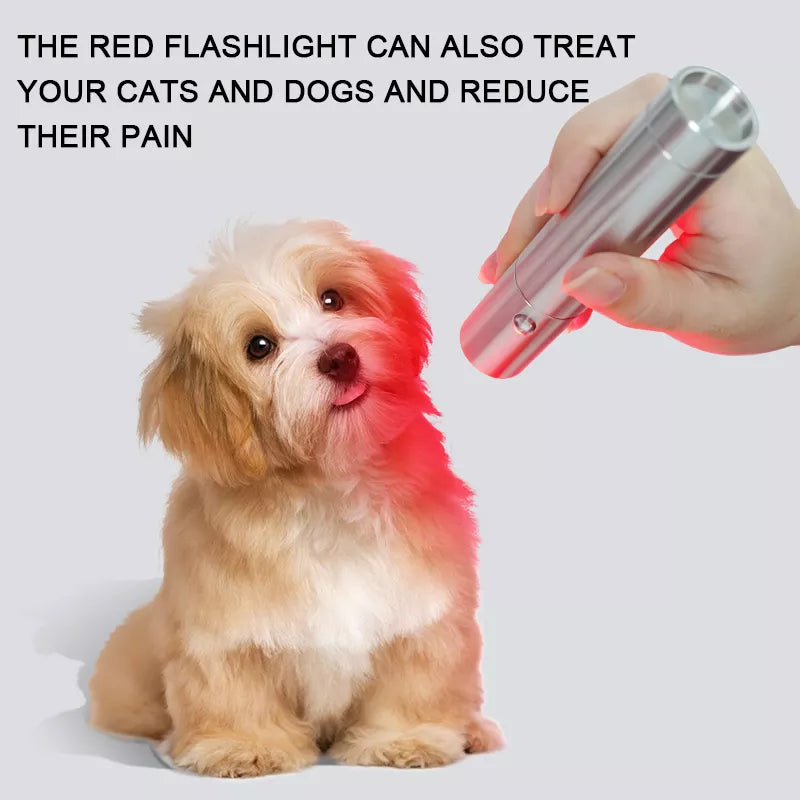 Light therapy device for pain relief - the red light torch can also treat your cats and dogs and reduce pain